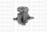 CIFAM 824-1067 Water Pump
